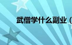 武僧學(xué)什么副業(yè)（武僧學(xué)什么專業(yè)）
