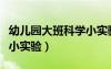 幼兒園大班科學(xué)小實(shí)驗(yàn)教案（幼兒園大班科學(xué)小實(shí)驗(yàn)）