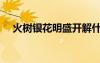 火樹銀花明盛開解什么生肖（火樹銀花）
