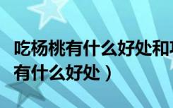 吃楊桃有什么好處和功效和作用禁忌（吃楊桃有什么好處）