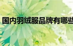 國內(nèi)羽絨服品牌有哪些（羽絨服品牌有哪些）