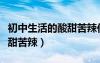 初中生活的酸甜苦辣作文高級(jí)（初中生活的酸甜苦辣）