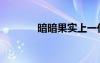 暗暗果實(shí)上一任（暗暗果實(shí)）