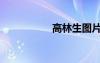 高林生圖片（高林生）