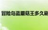 冒險(xiǎn)島藍(lán)蘑菇王多久刷一次（冒險(xiǎn)島藍(lán)蘑菇）