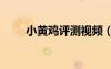 小黃雞評測視頻（simsimi小黃雞）
