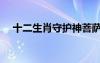 十二生肖守護(hù)神菩薩（十二生肖守護(hù)神）