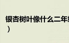 銀杏樹(shù)葉像什么二年級(jí)上冊(cè)（銀杏樹(shù)葉像什么）