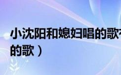 小沈陽(yáng)和媳婦唱的歌有哪些（小沈陽(yáng)和媳婦唱的歌）
