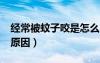 經(jīng)常被蚊子咬是怎么回事?（經(jīng)常被蚊子咬的原因）