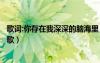 歌詞:你存在我深深的腦海里（我存在你深深的腦海里是什么歌）