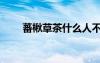 蕃楸草茶什么人不適合喝（蕃楸草）