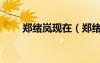 鄭緒嵐現(xiàn)在（鄭緒嵐當(dāng)年得罪了誰）