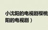 小沈陽的電視劇櫻桃2012年農(nóng)村家庭（小沈陽的電視?。?/></a>
				</div>
				<div   id=