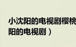 小沈陽的電視劇櫻桃2012年農(nóng)村家庭（小沈陽的電視?。? class=