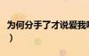 為何分手了才說愛我呢（為何分手了才說愛我）