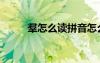 羣怎么讀拼音怎么寫（羣怎么讀）