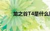 龍之谷T4是什么版本（龍之谷t4）