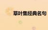 草葉集經(jīng)典名句（草葉集泰戈爾）