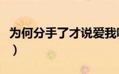 為何分手了才說愛我呢（為何分手了才說愛我）