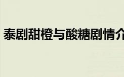 泰劇甜橙與酸糖劇情介紹（泰劇甜橙與酸糖）