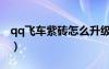 qq飛車紫磚怎么升級（qq飛車紫鉆怎么升級）