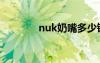 nuk奶嘴多少鈿（nuk奶嘴）