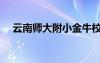 云南師大附小金牛校區(qū)（云南師大附?。?/></a>
				</div>
				<div   id=