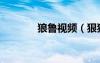 狼魯視頻（狠狼狼很魯在線）