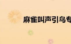 麻雀叫聲引鳥專用（麻雀叫聲）