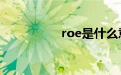 roe是什么意思（ro2）