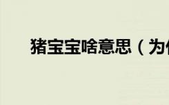 豬寶寶啥意思（為什么都說豬寶寶好）