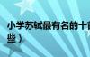 小學蘇軾最有名的十首詩（小學蘇軾的詩有哪些）