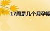 17周是幾個月孕期（17周是幾個月）
