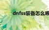 dnfss裝備怎么喂養(yǎng)（dnfss裝備）