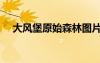 大風(fēng)堡原始森林圖片（大風(fēng)堡原始森林）