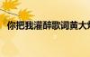 你把我灌醉歌詞黃大煒（你把我灌醉歌詞）