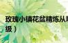 玫瑰小鎮(zhèn)花盆精煉從哪里來(lái)（玫瑰小鎮(zhèn)花盆升級(jí)）