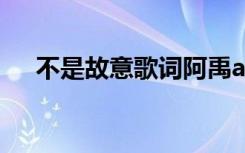 不是故意歌詞阿禹ayy（不是故意歌詞）