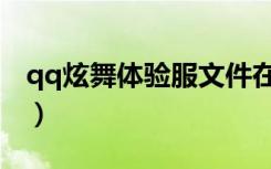 qq炫舞體驗服文件在哪（qq炫舞體驗服文件）