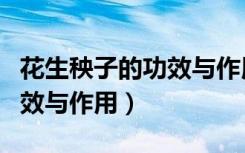 花生秧子的功效與作用及禁忌（花生秧子的功效與作用）