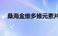 桑海金維多維元素片怎么樣（桑海金維）