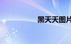 黑天天圖片（黑天天）