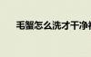 毛蟹怎么洗才干凈視頻（毛蟹怎么洗）