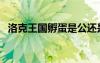 洛克王國孵蛋是公還是母（洛克王國孵蛋）