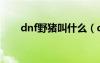 dnf野豬叫什么（dnf野豬是什么圖）
