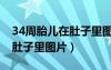 34周胎兒在肚子里圖片真實的（34周胎兒在肚子里圖片）