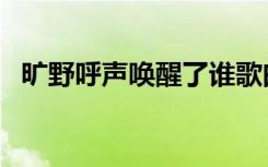 曠野呼聲喚醒了誰歌曲原唱（誰歌曲原唱）