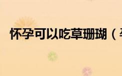 懷孕可以吃草珊瑚（孕婦能不能吃草珊瑚）