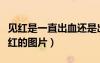 見紅是一直出血還是出一點(diǎn)血（孕婦快生了見紅的圖片）